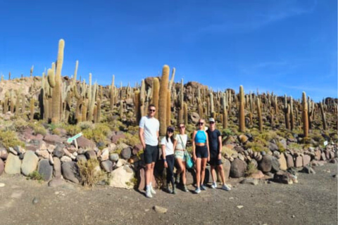 From Uyuni: 2 Day Salt Flats and Hot Springs Tour