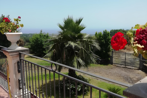 Zafferana Etnea:Honey extraction workshop and honey tasting Tour for 2 people