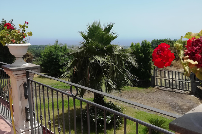 Zafferana Etnea:Honey extraction workshop and honey tasting Tour for 2 people