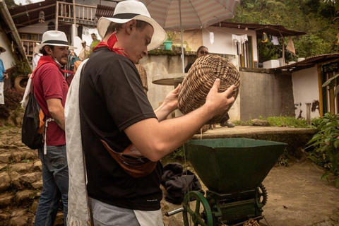 Koffietour vanuit Medellin met lunch en koffieproeverij