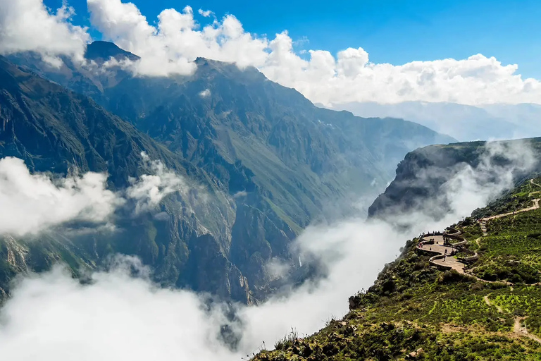 Puno à Arequipa : 2 jours d&#039;excursion dans le canyon de Colca