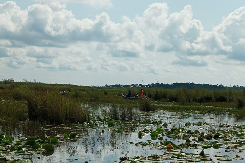 From Kampala: Mabamba Swamp Birding Half-Day Tour From Kampala: Mabamba Swamp Birding Day Tour