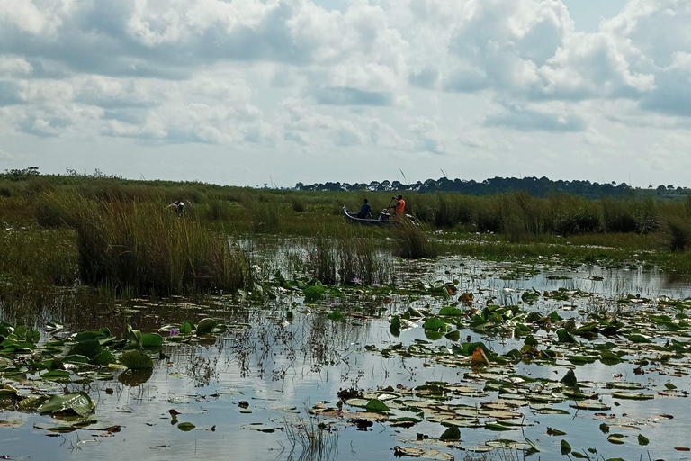 From Kampala: Mabamba Swamp Birding Half-Day Tour From Kampala: Mabamba Swamp Birding Day Tour