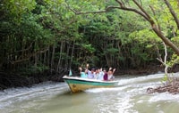 Can Gio Mangrove Biosphere Reserve 1 Day - Housity