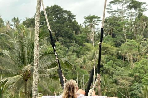 Ubud: Kanto Lampo Waterfalls, Jungle Swing, Rice Terrace Private Tour without Entry Tickets