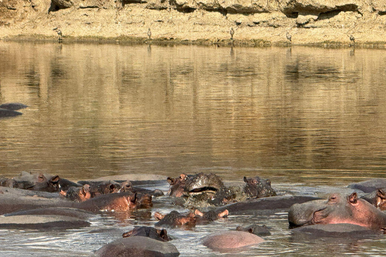 Dar es Salaam: gita di 1 giorno in treno al Parco nazionale di Mikumi