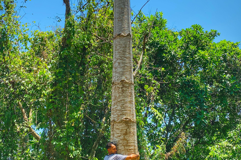 Explore the Magic of Tayronaka: Indigenous Culture, Nature and Adventure