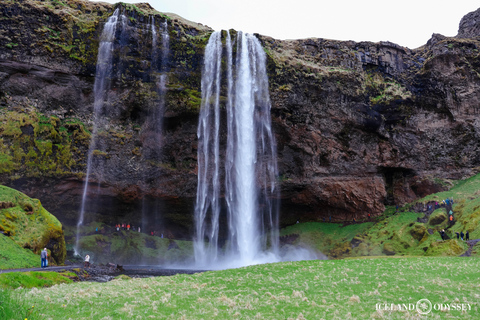 Depuis Reykjavik : Visite privée de la côte sud et de la randonnée des glaciers