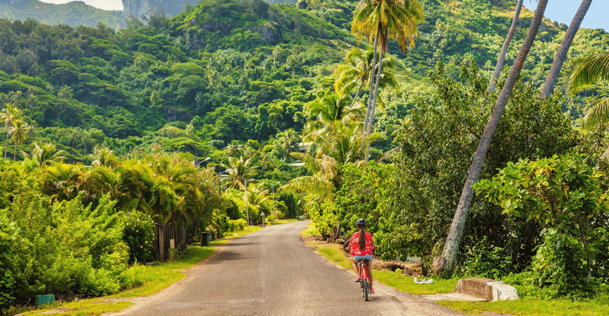 eBike Island Aventure dans la baie de l'Unesco Les Saintes - Hizvo