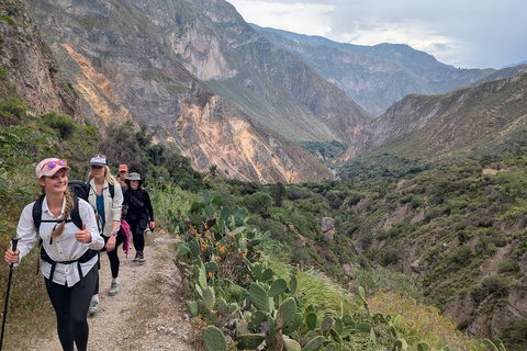 Full-Day Colca Sightseeing Tour