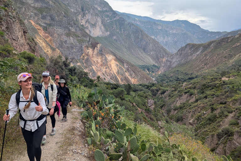 Full-Day Colca Sightseeing Tour