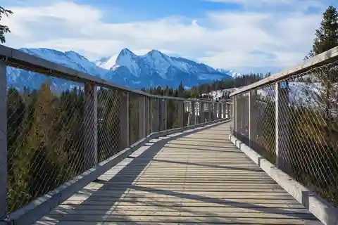 Zakopane: Passeggiata sugli alberi e tour privato del castello di Niedzica