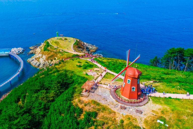 Geoje Cable Car and Oedo Botania Day Tour from Busan