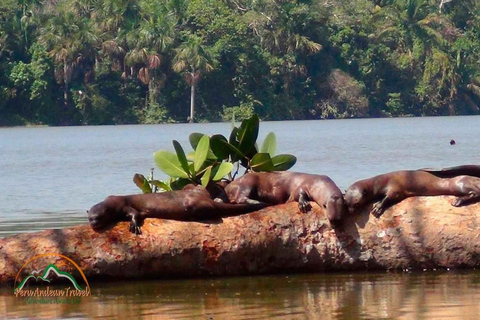 Giornata intera al lago Sandoval