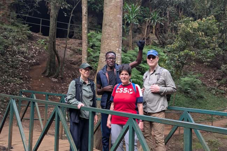 Nairobi: Karura Forest & Waterfall Guided Nature Excursion.