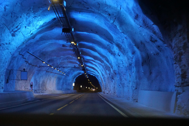 Bergen: Nærøyfjord Cruise, Stalheim Walk & Undredal Village