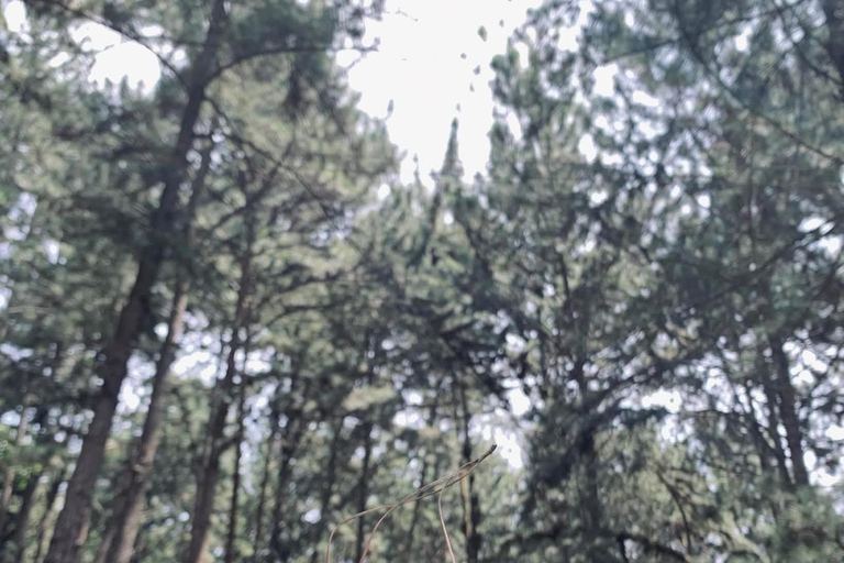 Kandy: Hidden Highlands Nature Walk