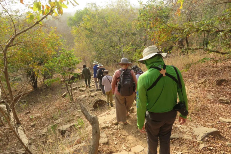 Accra : circuit de 11 jours dans les territoires du nord, la savane et les tribusAccra : circuit de 11 jours dans les territoires du nord, la savane et chez les tribus