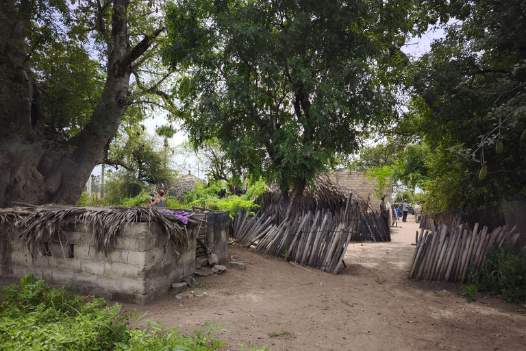Saly: Rural Villages Tour