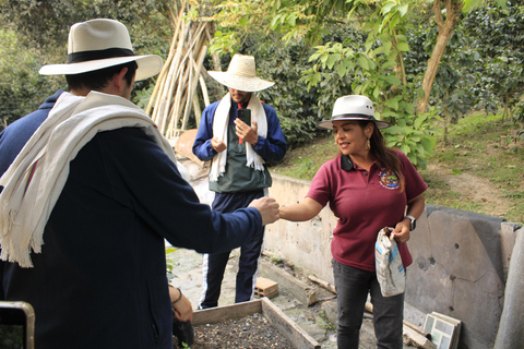 Bogotà: tour privato di un giorno alla collina di Monserrate e alla piantagione di caffèBogotà: tour privato di un giorno al Monte Monserrate e alla piantagione di caffè