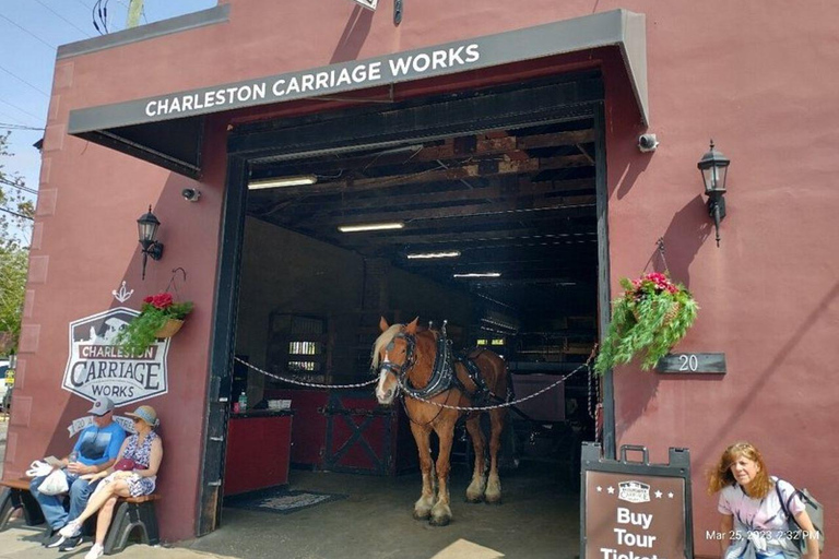 Charleston: Visita histórica residencial a caballo y en carruaje