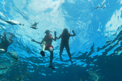 Tenerife: Tour guiado en Kayak