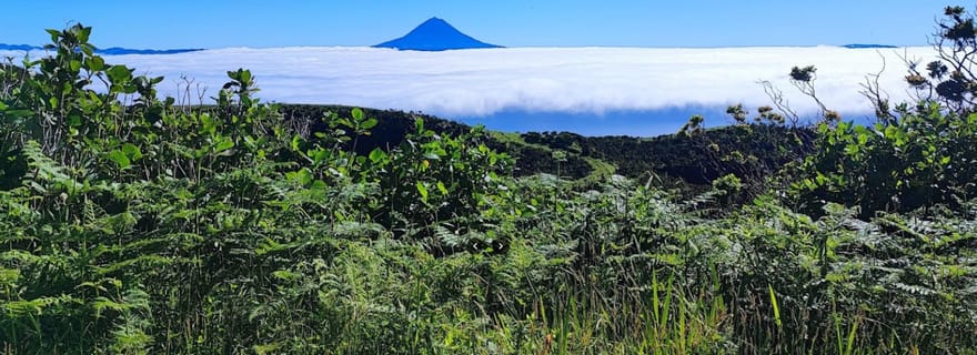 São Jorge : île, réserve forestière et visite guidée de Fajãs