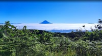 São Jorge, Island Round Trip Up to 4 Hours. - Housity
