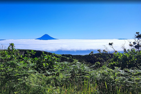 São Jorge: Rundresa upp till 7 timmar.São Jorge Island: Rundresa 7 timmar.