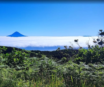 São Jorge: Ilha, Reserva Florestal e Fajãs Tour guiado