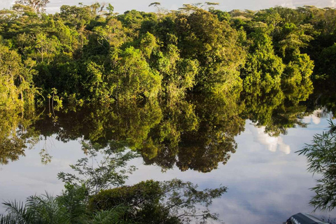 From Loreto: Full Day Nanay River - Momón - Amazonas