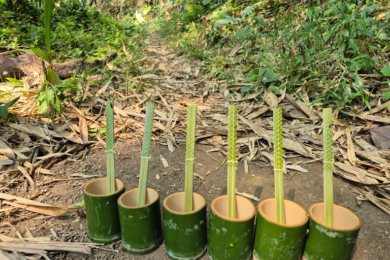 Chiang Rai: 2-Day Jungle Trek only walk with Waterfall