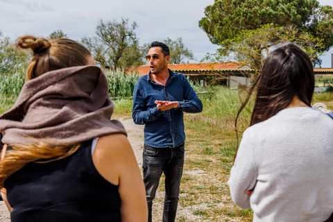 Aigues-Mortes 3H: Discover the secret Camargue in a 4x4 Full-Day