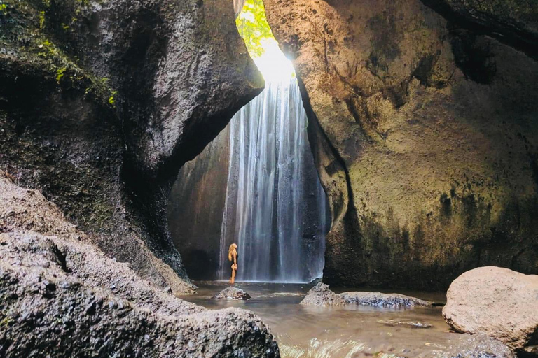 Ubud privato: Cascate, tempio dell&#039;acqua, terrazza di risoTour di un giorno (10-12 ore di tour), escluse le tariffe dei biglietti d&#039;ingresso