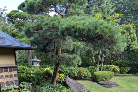 Tokyo: Personalized Half-day Tour