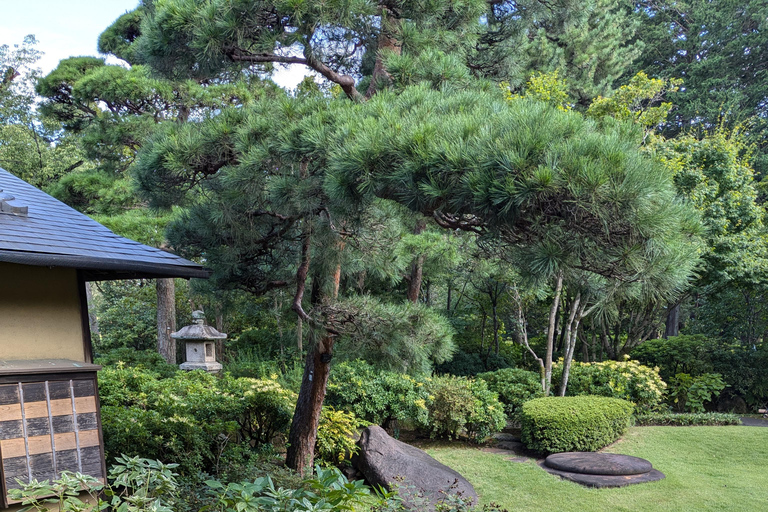 Tokyo: Personalized Half-day Tour