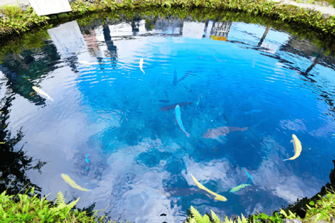 Visite des 6 attractions du mont Fuji : lac Kawaguchi, Oshino HakkaiLieu de rendez-vous : gare de Tokyo à 8 h 00.