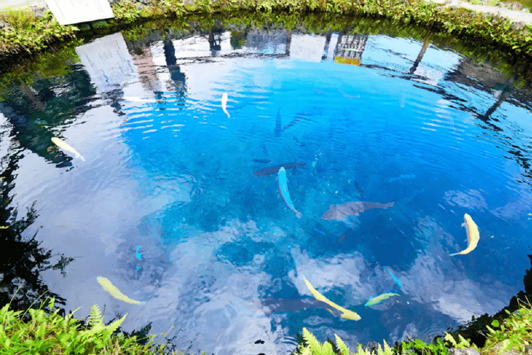 Visite des 6 attractions du mont Fuji : lac Kawaguchi, Oshino HakkaiLieu de rendez-vous : gare de Tokyo à 8 h 00.