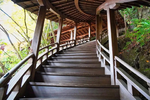 Kyoto : Whispers of Art, Zen &Love Couple’s Journey in Kyoto