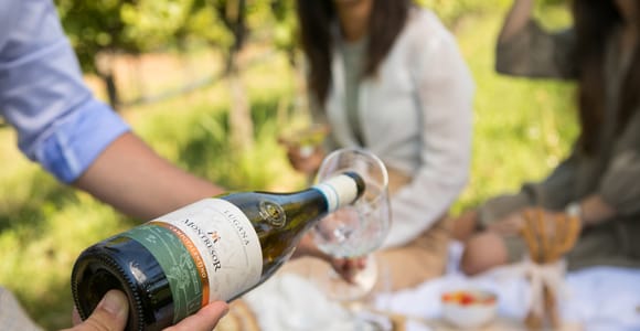 Near Verona: Bardolino, Chiaretto & Lugana 4-Wine Tasting