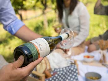 Probiere mit uns Bardolino, Chiaretto und Lugana bei Verona