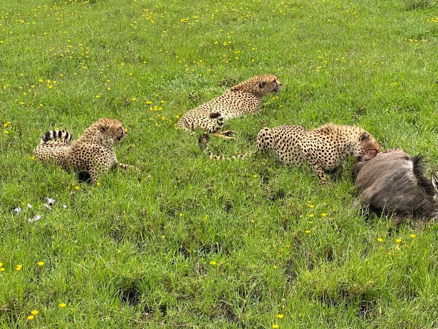 Tsavo East National Park Day Trip with Lunch