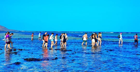 Sal Island: Salinas de Pedra de Lume & Shark Bay Tour