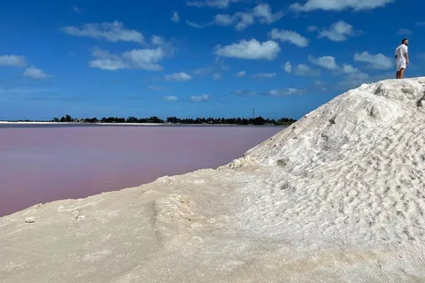 Las Coloradas : Visite guidée du lac rose et visite du Rio Lagartos