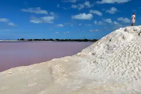 Las Coloradas : Visite guidée du lac rose et visite du Rio Lagartos