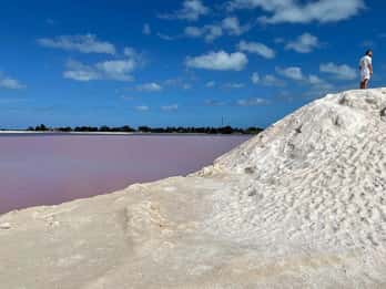 Las Coloradas: Tour guiado al Lago Rosa y visita al Río Lagartos