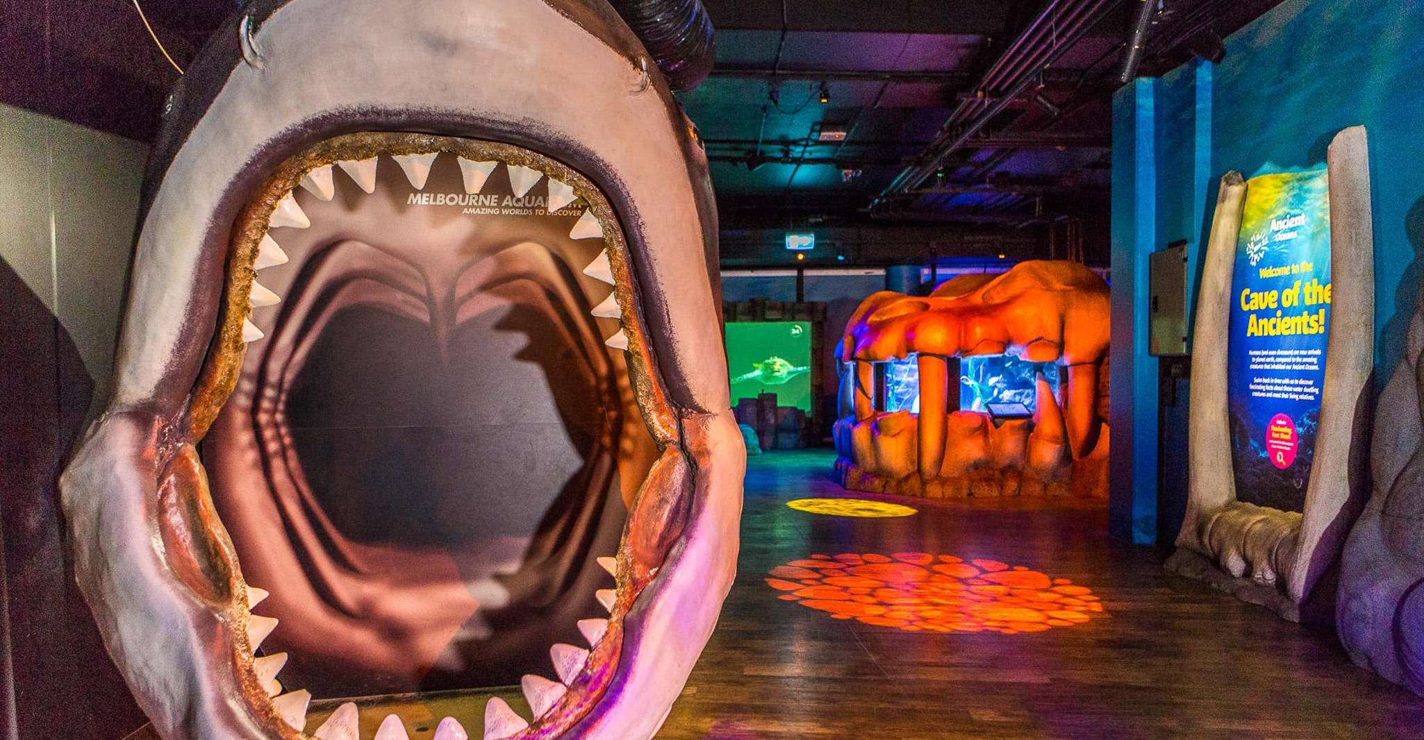 Melbourne: SEA LIFE Aquarium Entrance Ticket photo 20