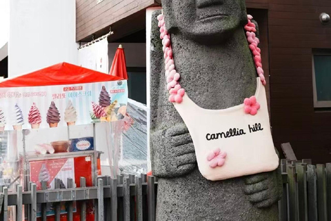 Jeju: Camellia Hill Admission & Seasonal Photo Guide