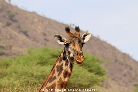 Von Nairobi aus: 3-tägige kenianische Safari im Nakuru Mara National ParkVon Nairobi: 3-tägige Nakuru Mara Nationalpark Kenia Safari