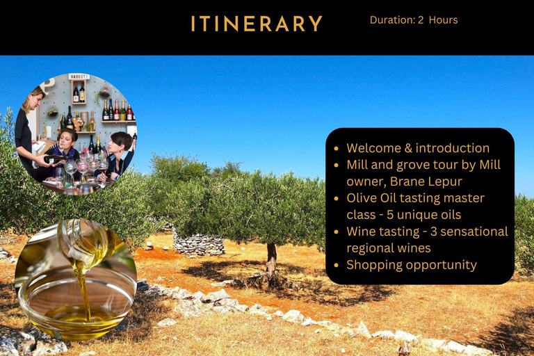 Olive Park Self Drive - Öl-, Wein- und LebensmittelverkostungOlivenmühlentour, Öl, Wein &amp; Essen erleben - Selbstfahrer